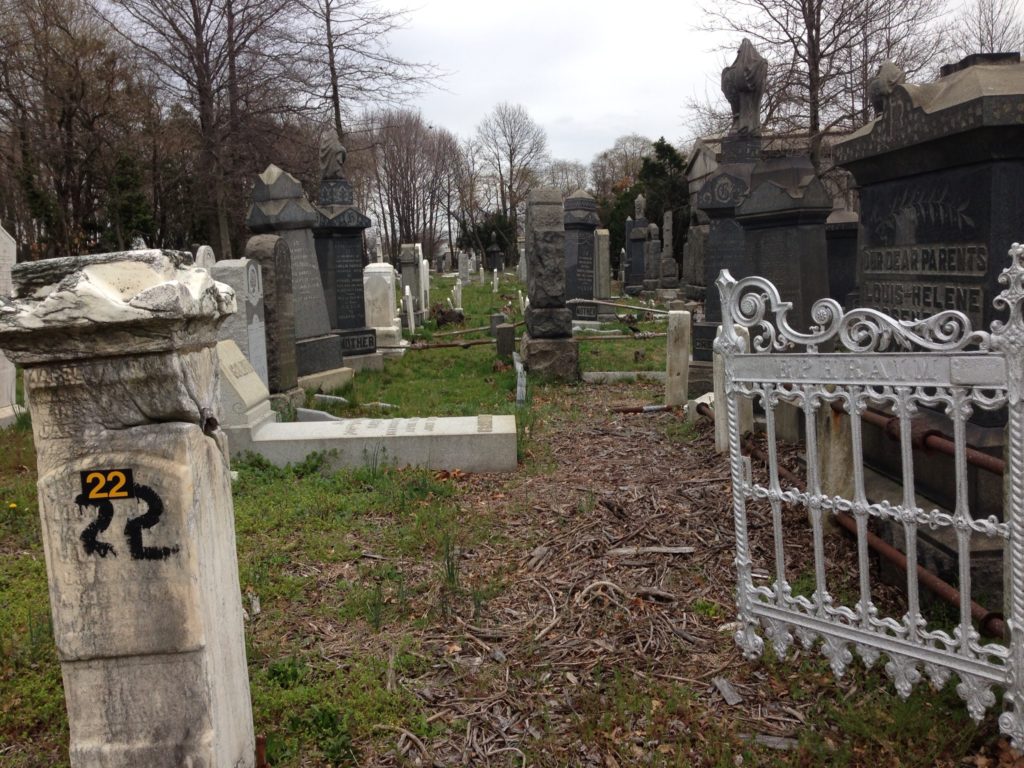 A section of New York's Bayside Cemetery in Queens after a UJA-Federation-funded cleanup. (Courtesy of the Community Association for Jewish At-Risk Cemeteries)