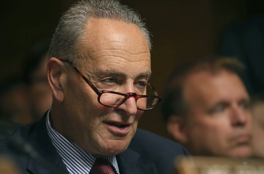 Sen. Charles Schumer participating in a Senate Judiciary Committee hearing on Capitol Hill, July 8, 2015. Schumer, a New York Democrat, is seen as a key vote on the Iran deal. (Mark Wilson/Getty Images)