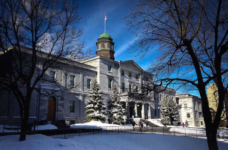 McGill University Student Leader Urges Twitter Users To ‘punch A ...