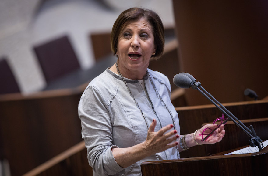 Meretz leader resigning, says left-wing party must change to stay ...