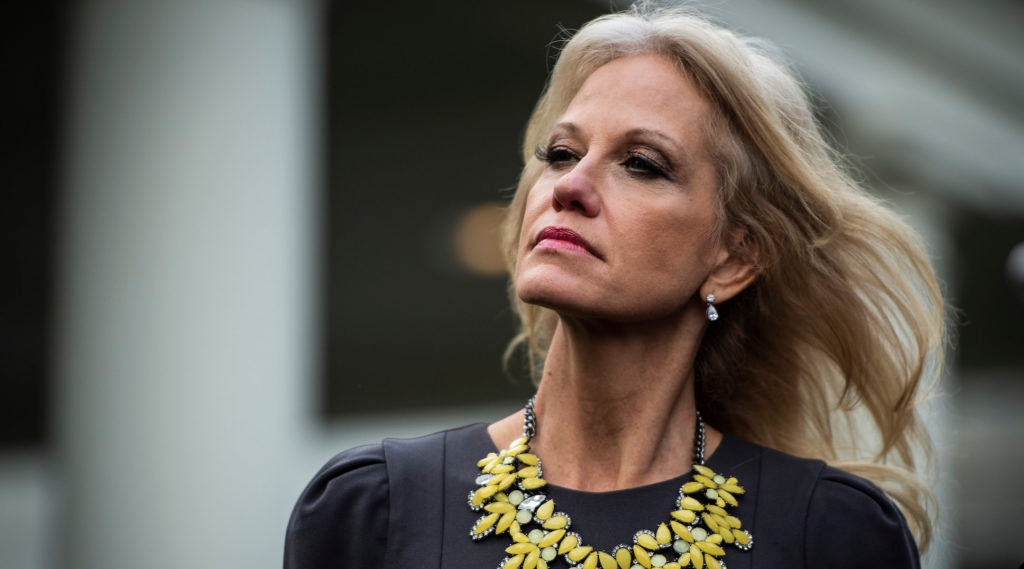 Why Did Kellyanne Conway Ask A Jewish Reporter About His Ethnicity   7 17 19 Kellyanneconway 1024x569 