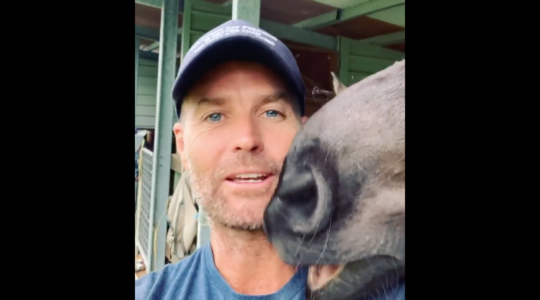 Pete Evans, shown here with a horse in a video posted to Facebook, says he did not know what "neo-Nazi" meant. (Screenshot)