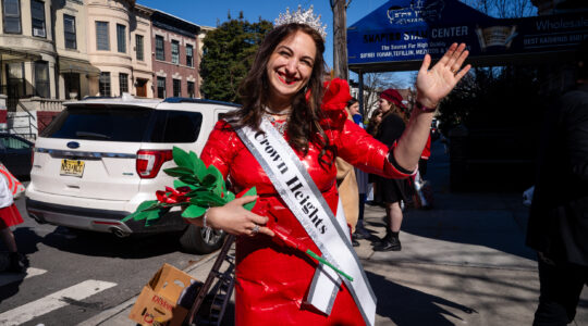 Purim in Crown Heights, Brooklyn, March 24, 2024. (Luke Tress)