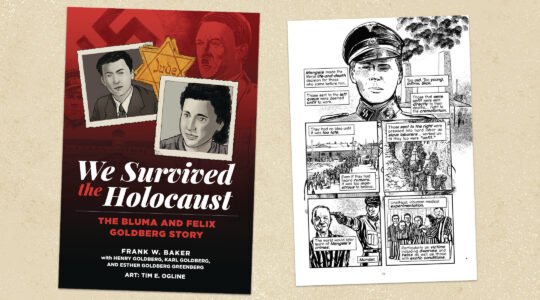 pages from a graphic memoir about Holocaust survivors