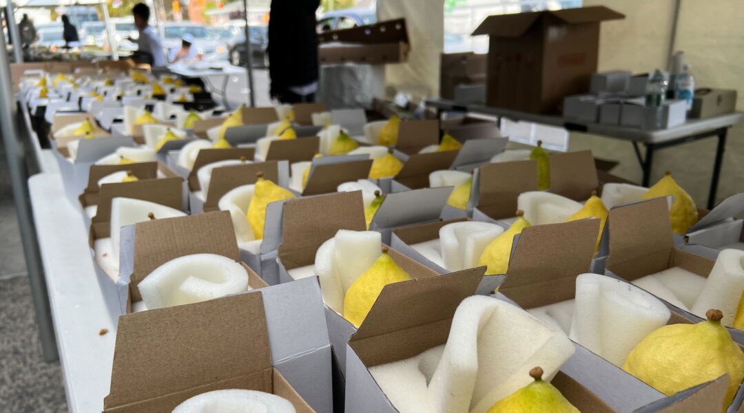 etrog market